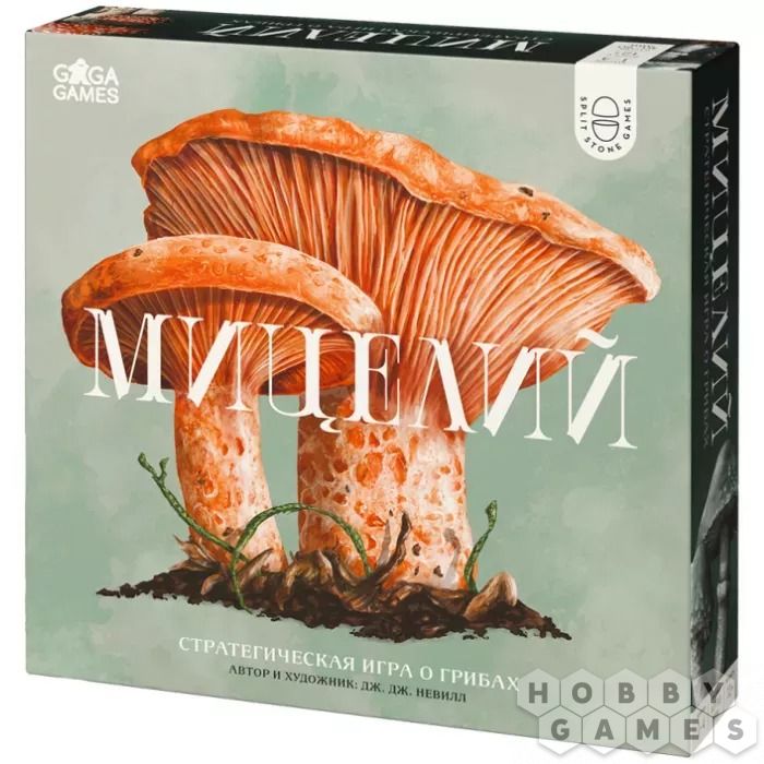 Мицелий (2024)
