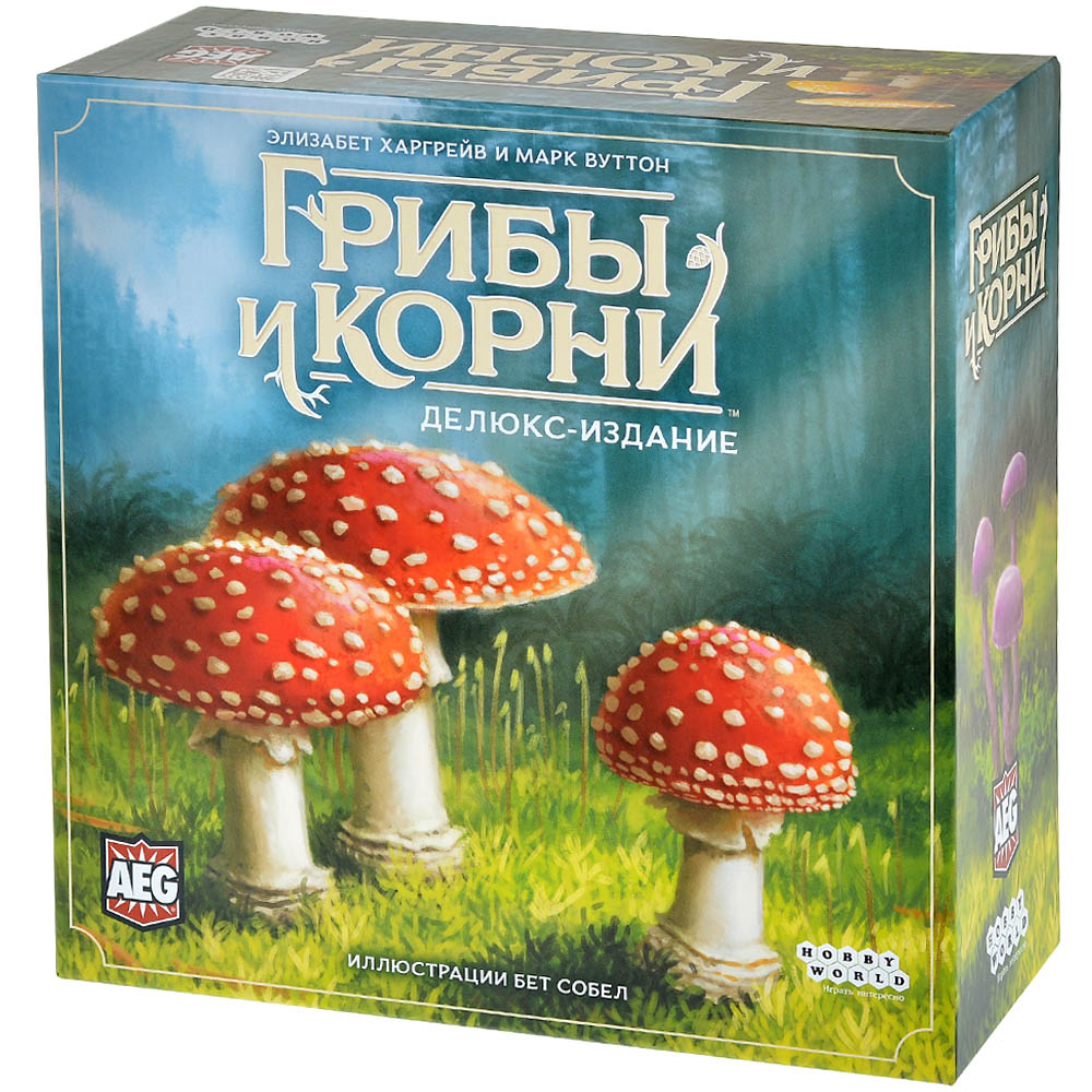 Грибы и корни